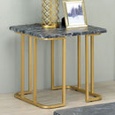 Anika End Table