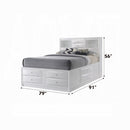 The Arden Brook Transitional Storage Bed by Relani Family Furniture