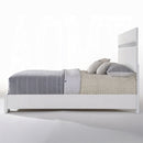 The Naima II Acrylic Panel Bed by Clayson Design