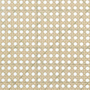 The Elira Cane Back Lounge Chair by Clayson Design