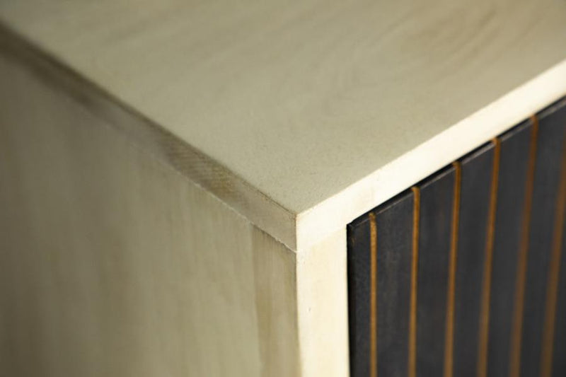 Ixora Mid-Century Modern 2-Door Accent Cabinet by Relani Family Furniture