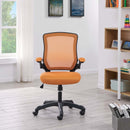 Adrianna Mesh Office Chair