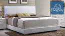 The Liora Modern LED Platform Bed by Clayson Design