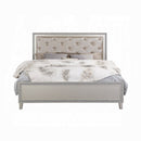 The Aurelia Glam Tufted Queen Bed by Clayson Design