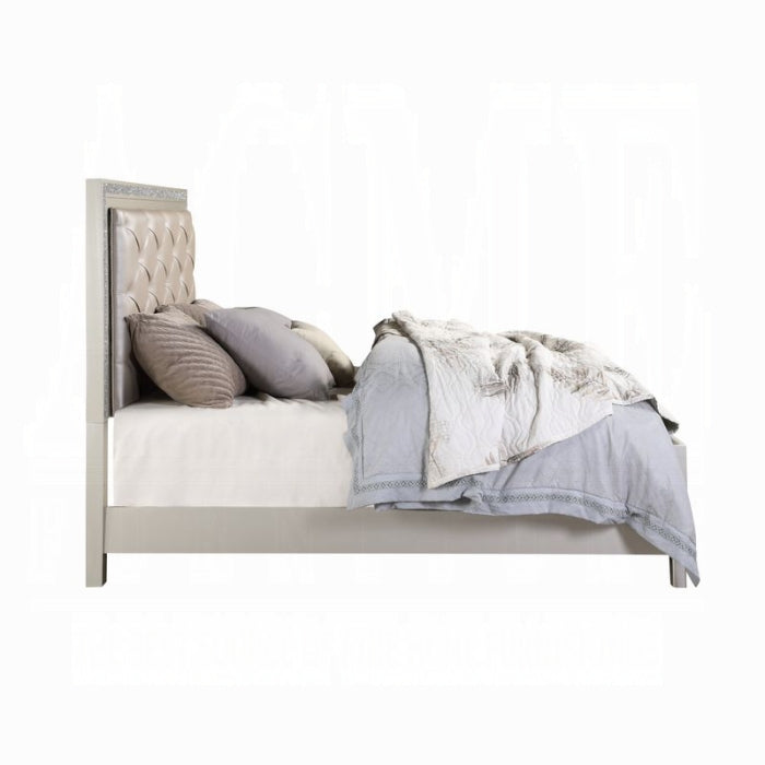 The Aurelia Glam Tufted Queen Bed by Clayson Design
