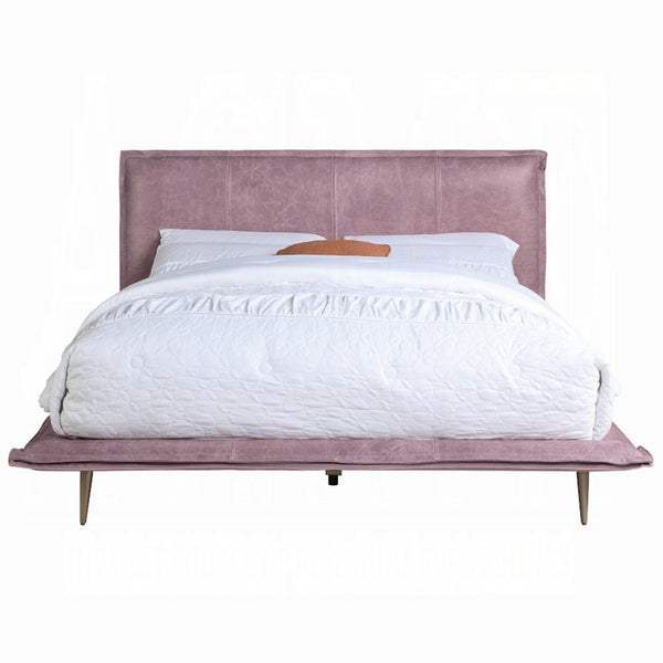 The Bastille Blush Modern Platform Bed by Clayson Design