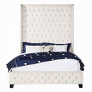 The Bellamy Tufted Wingback Queen Bed by Clayson Design
