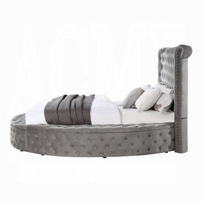 The Marcelline Glam Tufted Storage Queen Bed by Clayson Design