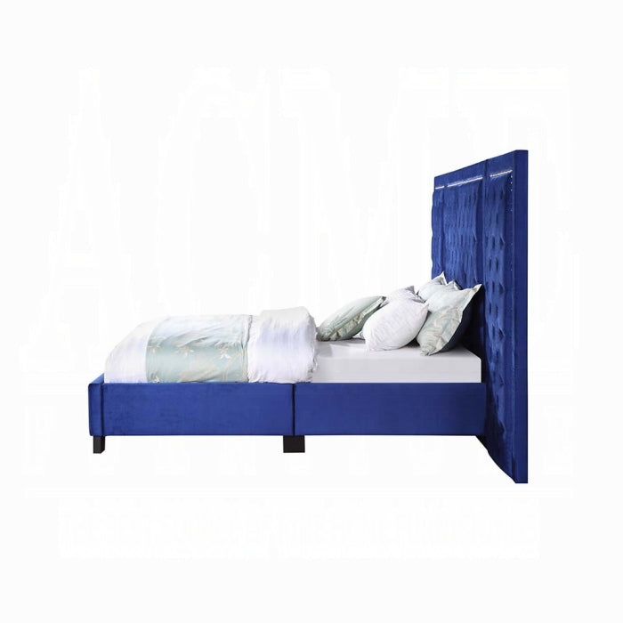 The Celestine Glam Tufted Queen Bed by Clayson Design