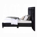 The Celestine Glam Tufted Queen Bed by Clayson Design
