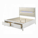 The Tarian Pearl Storage Bed by Clayson Design