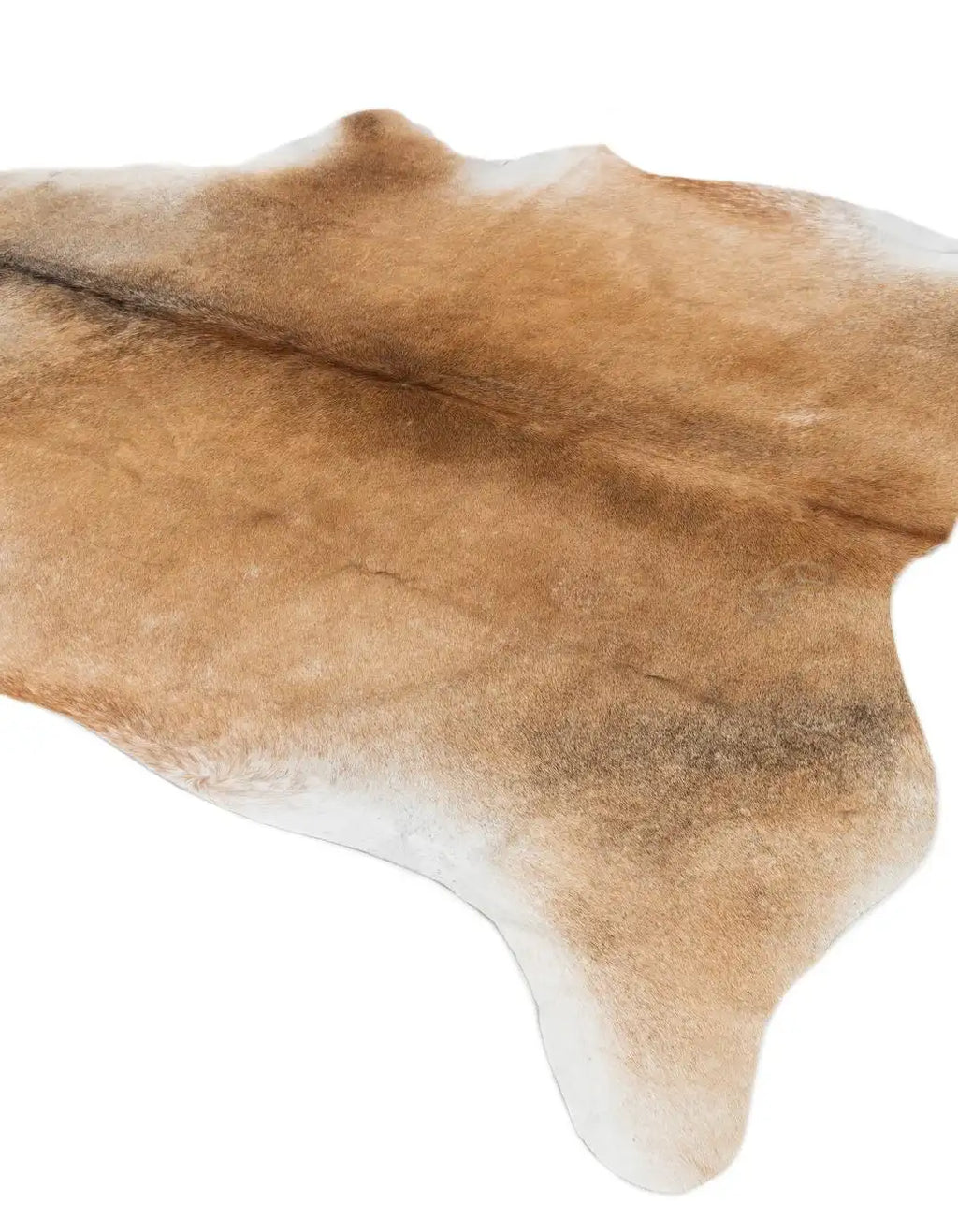 Dalton Contemporary Rug