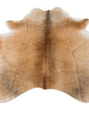 Dalton Contemporary Rug