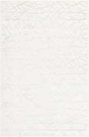 Waylon Soft Area Rug