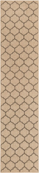 Kairo Energetic Area Rug