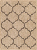 Kairo Energetic Area Rug