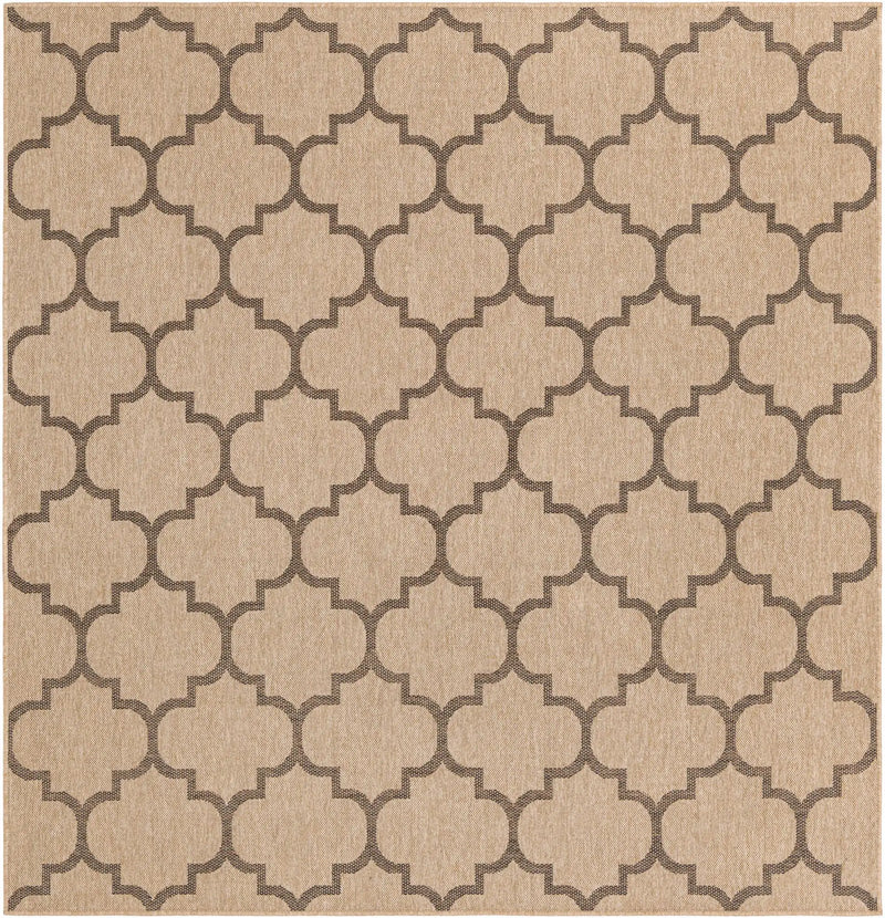 Kairo Energetic Area Rug