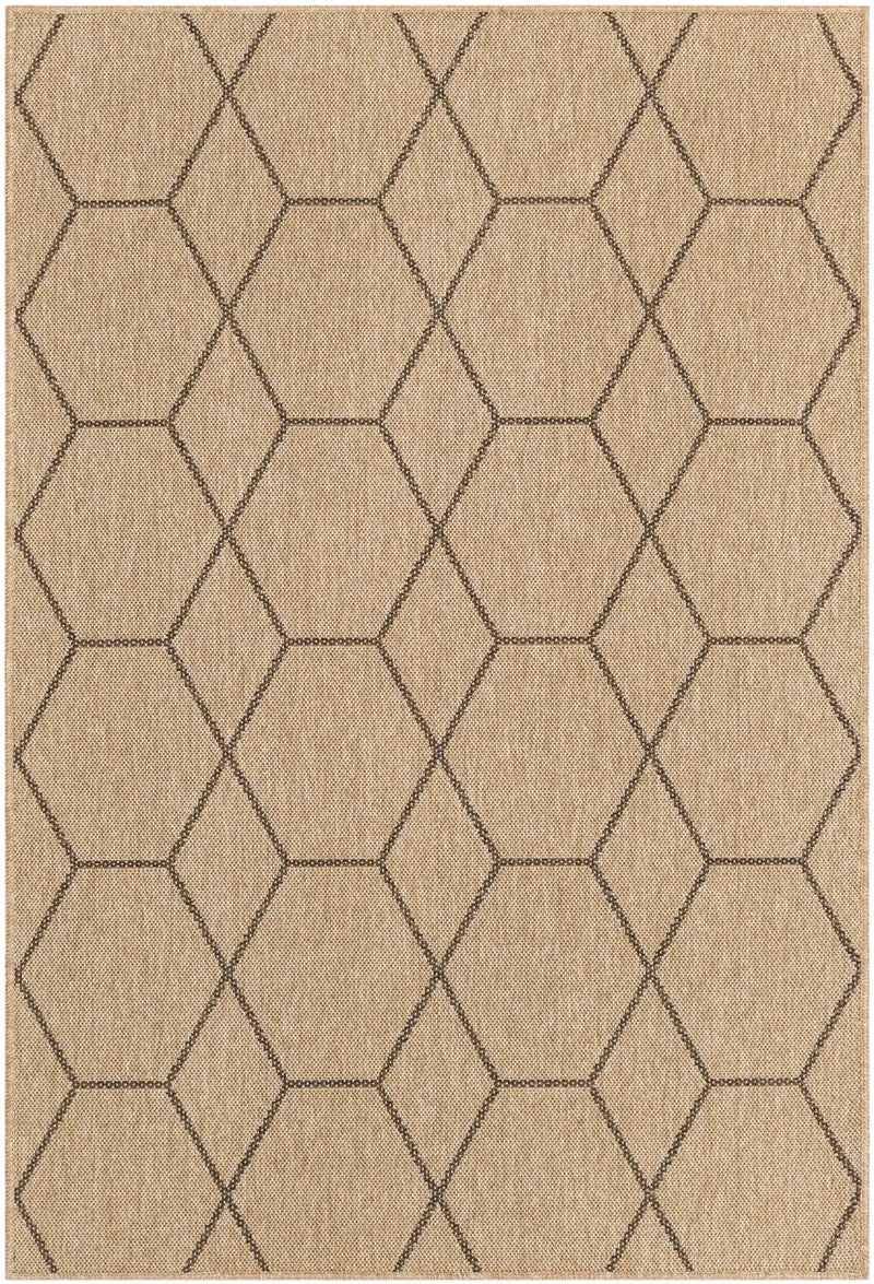 Alyssa Cheerful Area Rug