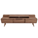 Chaya 74" TV Stand