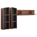 Chaya Wall Mounted Shelves