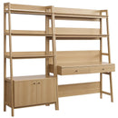 Raul 2-Piece Wood Office Desk and Bookshelf