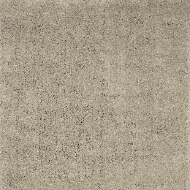 Pige Rug Texture Paige Area Rug